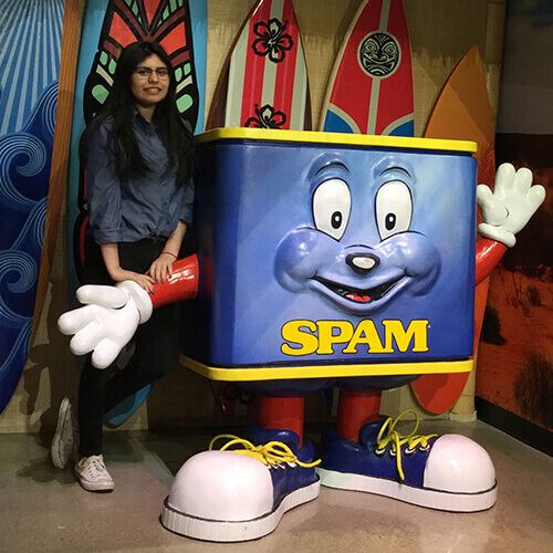 Spam Museum In Minnesota Spam Brand